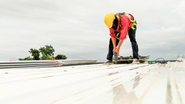 Best Sheet Metal Roofing  in Round Rock, TX